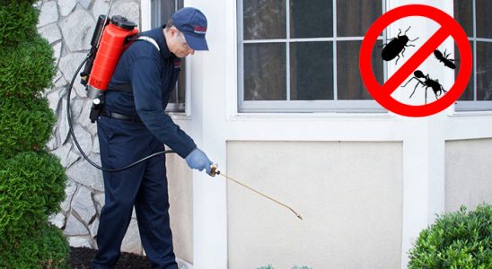 Ilıca Bit İlaçlama böcek ilaçlama ve haşere kontrolü — ilaclama-tr.com
